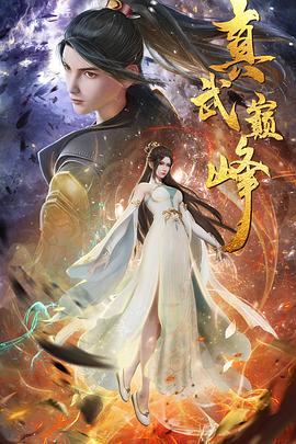 河北省seo网络优化